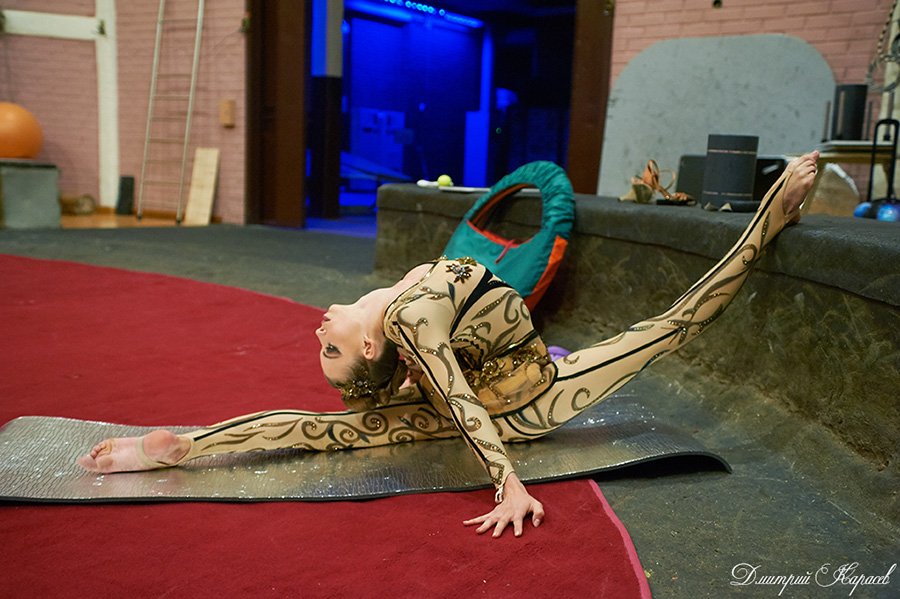 Причина смерти артистки цирка влады. Алена Ершова артистка цирка.
